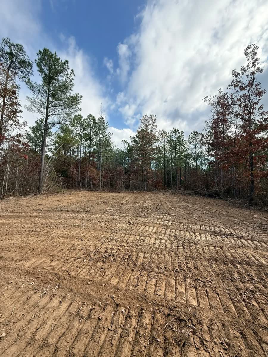A cleared pad of bare dirt, track marks across it, pines and oaks left standing around the edge.